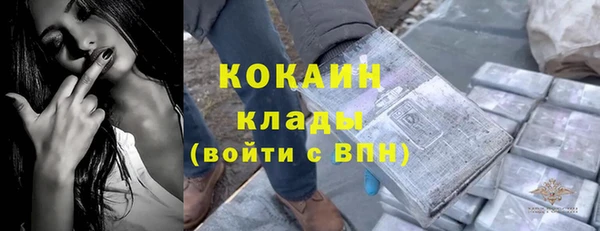 винт Пересвет