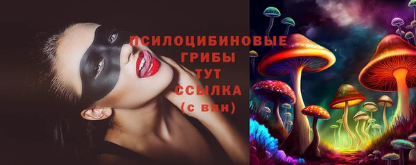 трава Армянск
