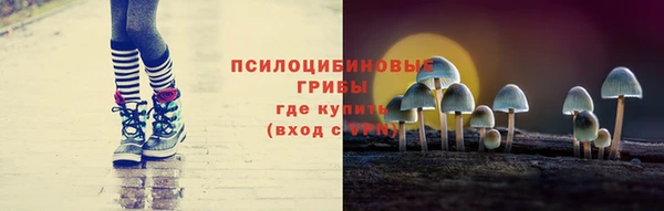 метадон Горнозаводск