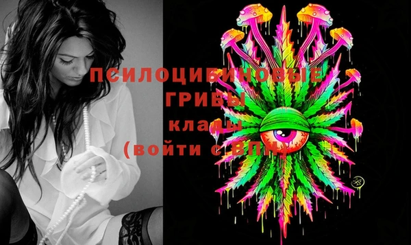 марки lsd Горняк