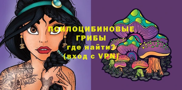 винт Пересвет