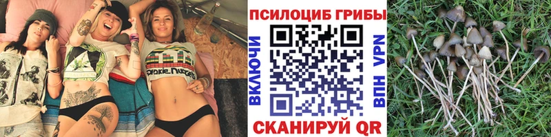наркота  Среднеуральск  Галлюциногенные грибы GOLDEN TEACHER 